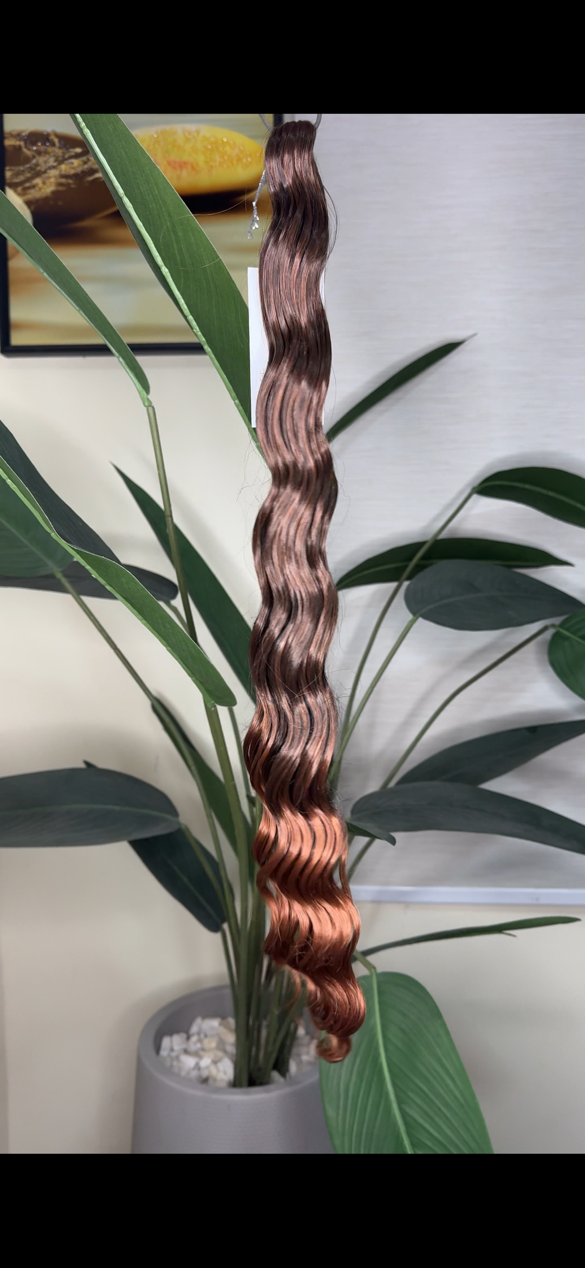 Anna Curls