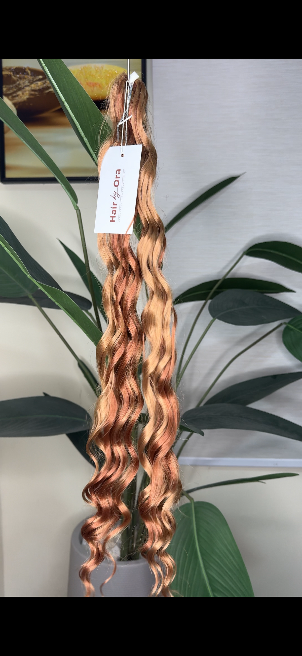 Anna Curls