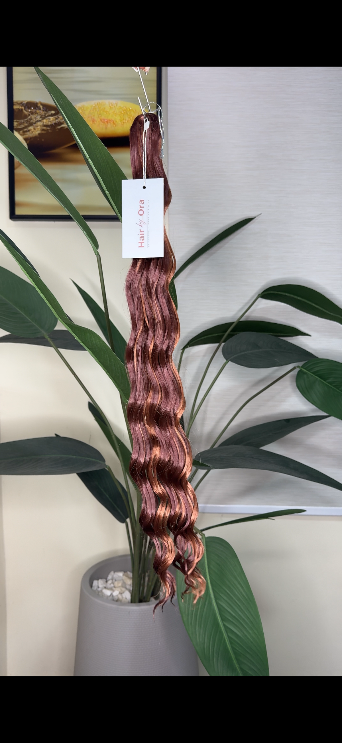 Anna Curls
